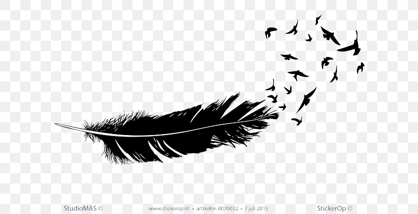 Feather Bird Beak Wing Tail, PNG, 619x420px, Feather, Beak, Bird, Black, Black And White Download Free