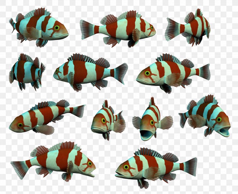 Fish Flounder Sea Clip Art, PNG, 2848x2326px, Fish, Animal Figure, Aquarium, Clownfish, Flounder Download Free