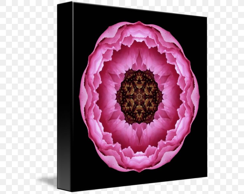 Pink Flowers Floral Design Mandala Symbol, PNG, 589x650px, Flower, Art, Dahlia, Drawing, Floral Design Download Free