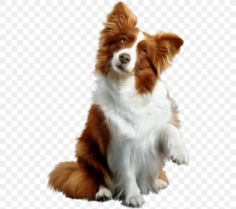 Puppy Dog Toys Chew Toy Rough Collie, PNG, 500x727px, Puppy, Animal, Border Collie, Carnivoran, Chew Toy Download Free