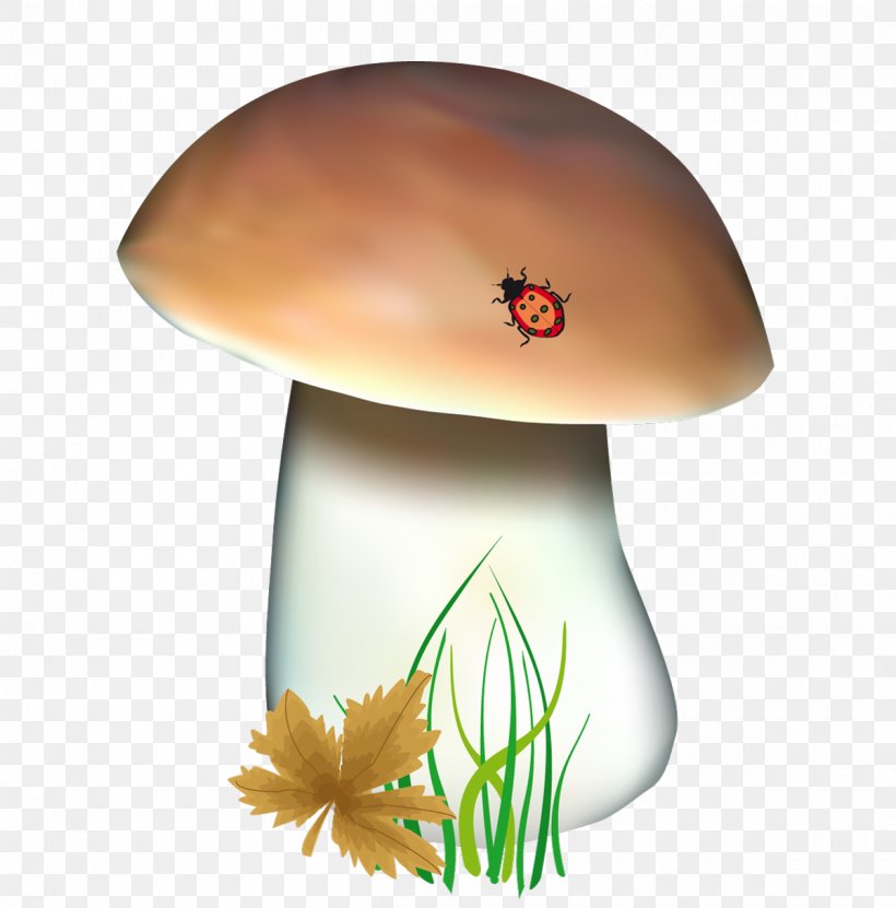 Boletus Edulis Fungus Clip Art, PNG, 1200x1217px, Boletus Edulis, Autumn, Boletus, Drawing, Edible Mushroom Download Free