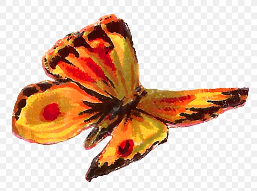 Butterfly Clip Art, PNG, 1600x1190px, Butterfly, Art, Arthropod, Brush Footed Butterfly, Butterflies And Moths Download Free