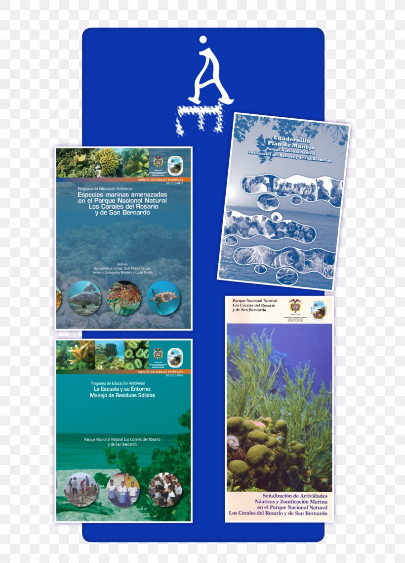 Coral Reef Ecosystem Water Resources Advertising, PNG, 1152x1600px, Reef, Advertising, Brand, Coral, Coral Reef Download Free