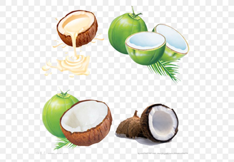 Juice Coconut Water Coconut Milk, PNG, 649x569px, Juice, Auglis, Coconut, Coconut Milk, Coconut Milk Powder Download Free