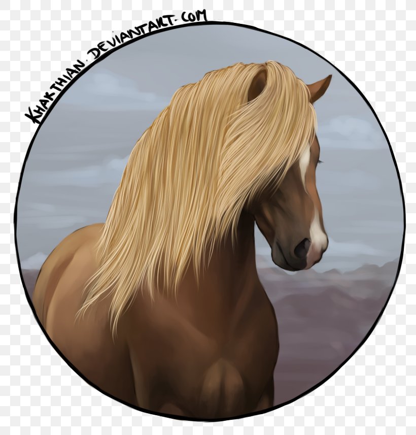 Mane Mustang Stallion Halter Bridle, PNG, 800x857px, Mane, Bridle, Halter, Horse, Horse Like Mammal Download Free