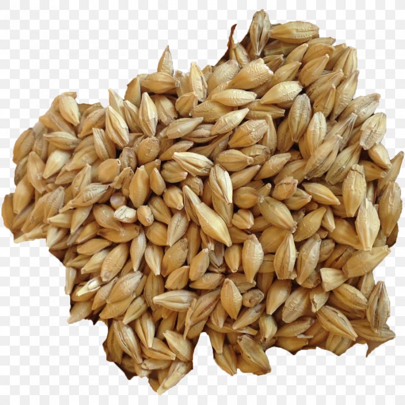 Organic Food Barley Sprouting Sprouted Bread Cereal, PNG, 926x926px, Organic Food, Avena, Barley, Barley Flour, Bread Download Free