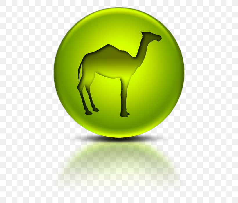 Bactrian Camel Dromedary Information, PNG, 600x700px, Bactrian Camel, Camel, Camel Like Mammal, Cross, Deer Download Free