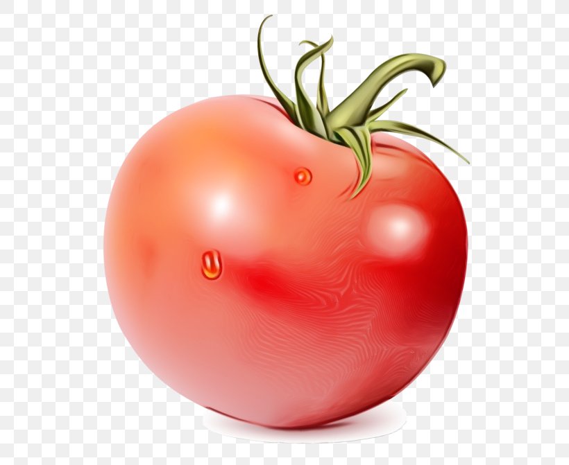 Tomato, PNG, 600x671px, Watercolor, Food, Fruit, Local Food, Natural Foods Download Free