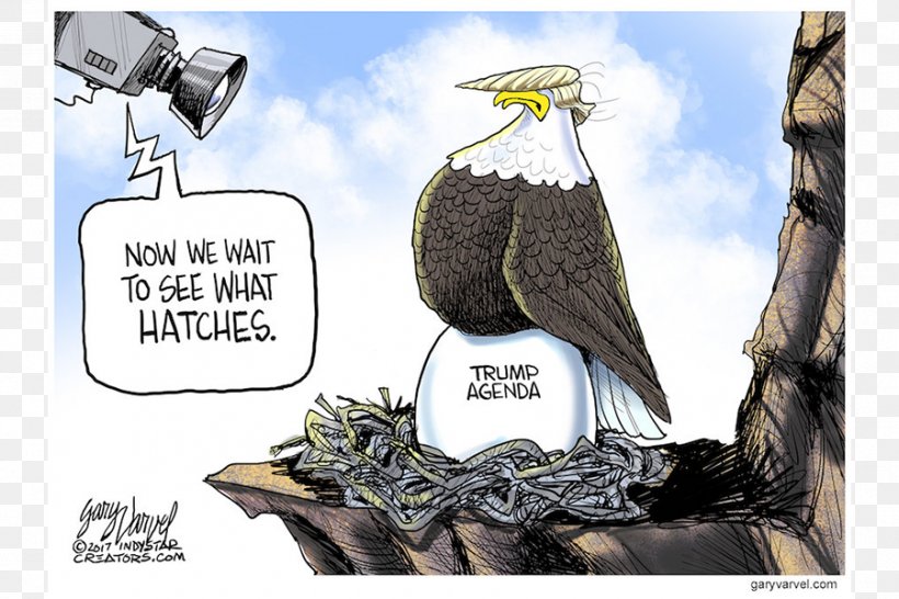 United States Cartoonist Editorial Cartoon Presidency Of Donald Trump, PNG, 900x600px, United States, Beak, Bird, Bird Of Prey, Brand Download Free