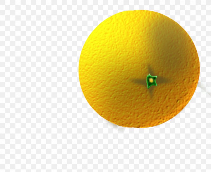 Yellow Circle Citrus, PNG, 939x768px, Yellow, Citrus, Fruit, Orange Download Free