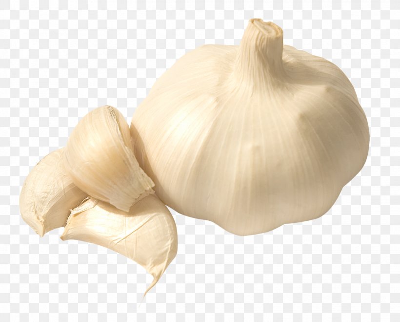 Garlic Saag Aloo Gobi Vegetable, PNG, 1548x1245px, Garlic, Aloo Gobi, Elephant Garlic, Food, Herb Download Free