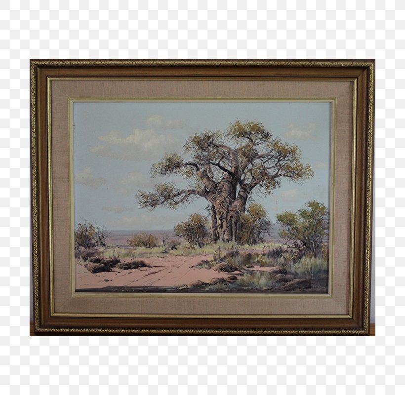 Landscape Painting Still Life Baobab Bushveld, PNG, 800x800px, Landscape, Arniston Seaside Cottages, Artist, Artwork, Baobab Download Free