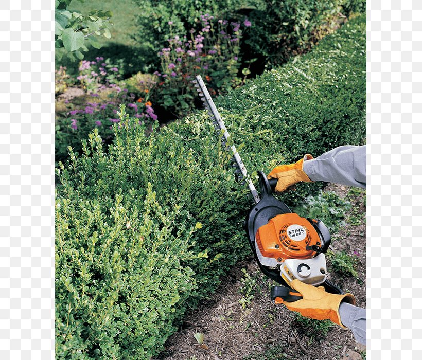 Lawn Mowers Hedge Trimmer String Trimmer, PNG, 700x700px, Lawn Mowers, Agricultural Machinery, Edger, Evergreen, Garden Download Free