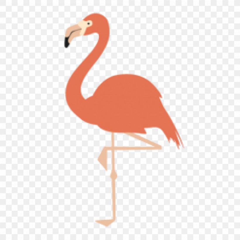 Bird American Flamingo Greater Flamingo Drawing, PNG, 2000x2000px, Bird, American Flamingo, Art, Beak, Crane Like Bird Download Free