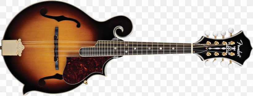 Musical Instruments String Instruments Mandolin Guitar Ukulele, PNG, 1600x609px, Watercolor, Cartoon, Flower, Frame, Heart Download Free