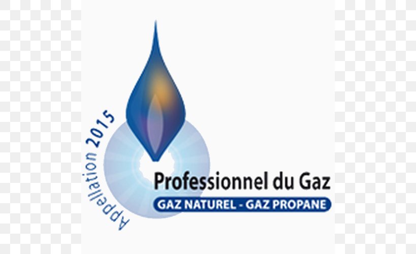 Berogailu Natural Gas Boiler Professional, PNG, 500x500px, Berogailu, Afacere, Boiler, Brand, Central Heating Download Free