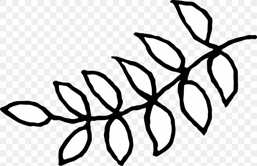 Clip Art Leaf Pattern Line Art Plant Stem, PNG, 1791x1159px, Leaf, Art, Black M, Blackandwhite, Botany Download Free