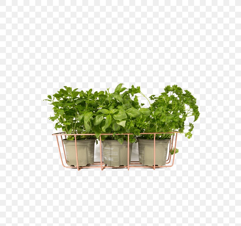 Herb YouTube Flowerpot Jewellery House, PNG, 769x769px, Herb, Clothing Accessories, Fines Herbes, Flowerpot, House Download Free