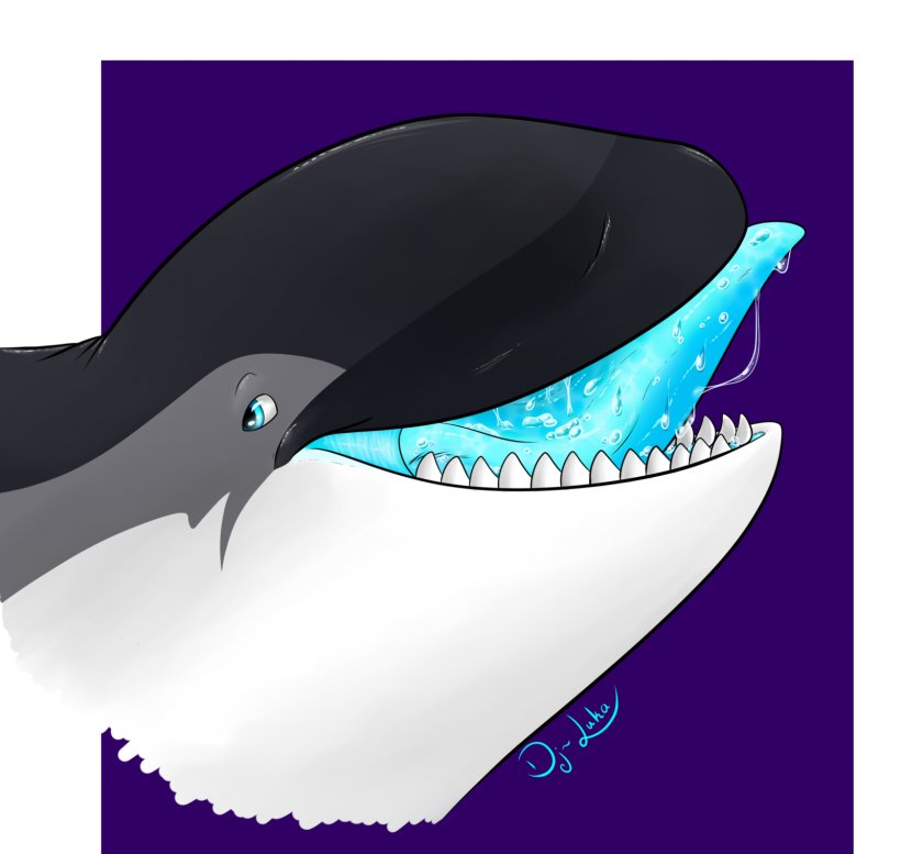 Killer Whale Dolphin Marine Mammal Cetacea, PNG, 1600x1518px, Watercolor, Cartoon, Flower, Frame, Heart Download Free