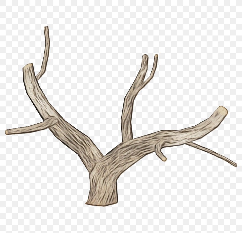 Twig Background, PNG, 788x788px, Deer, Antler, Branch, Driftwood, Elk Download Free