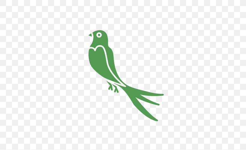 Beak Swallow Lovebird Clip Art, PNG, 501x501px, Beak, Animal, Bird, Bird Control, Bird Of Prey Download Free