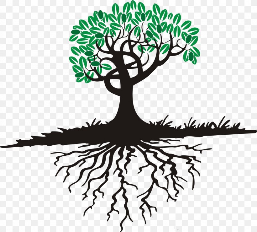 Cartoon Tree Root, PNG, 1024x924px, Cartoon, Artwork, Black And White, Branch, Flora Download Free