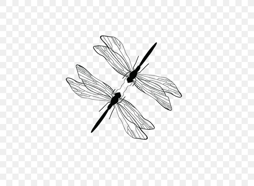 Download Dragonfly, PNG, 500x600px, Dragonfly, Black And White, Branch, Flora, Flower Download Free
