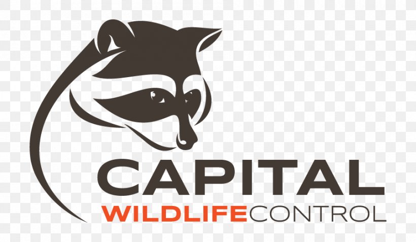 Logo Canidae Raccoon Cat Mammal, PNG, 900x524px, Logo, Black And White, Brand, Canidae, Carnivoran Download Free