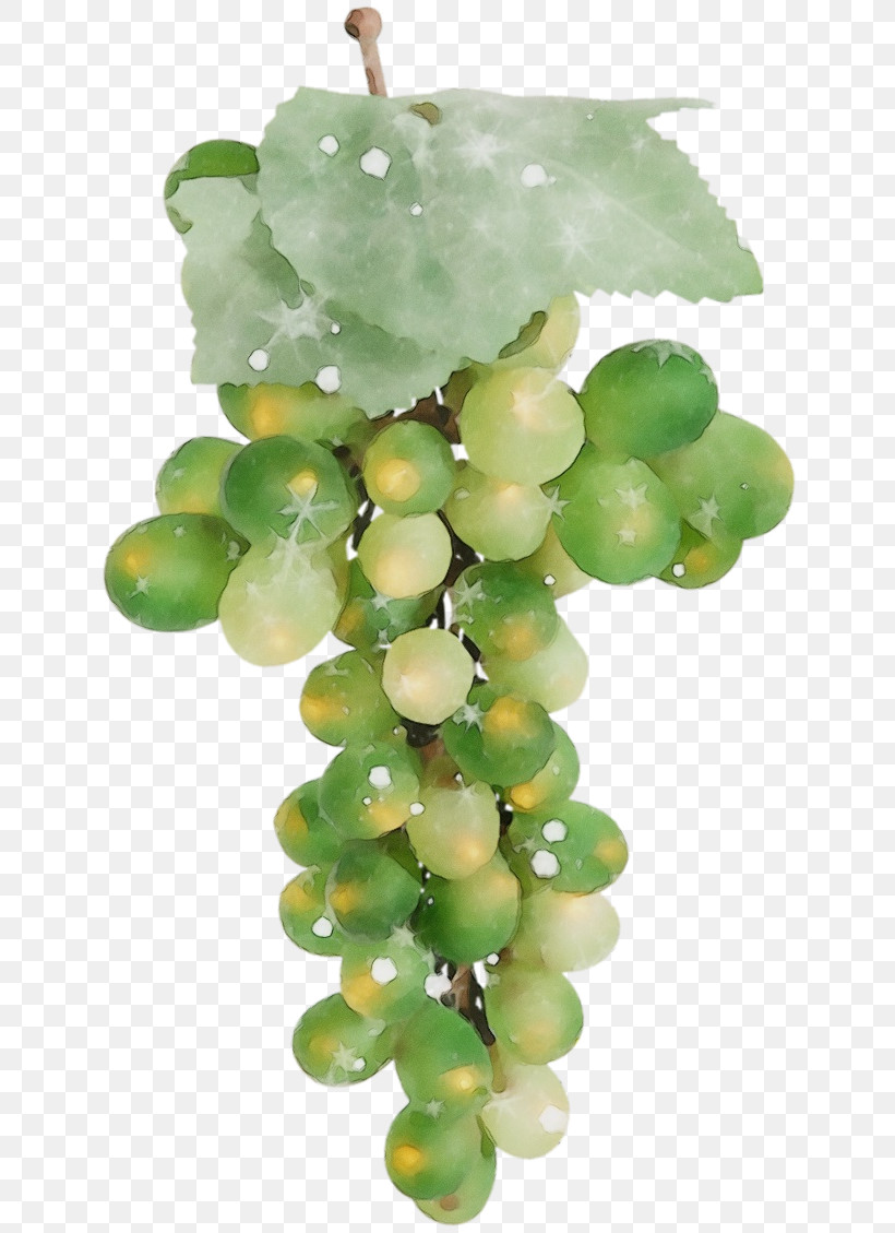 Seedless Fruit Sultana Grapevines Bead Fruit, PNG, 699x1129px, Watercolor, Bead, Fruit, Grapevines, Paint Download Free