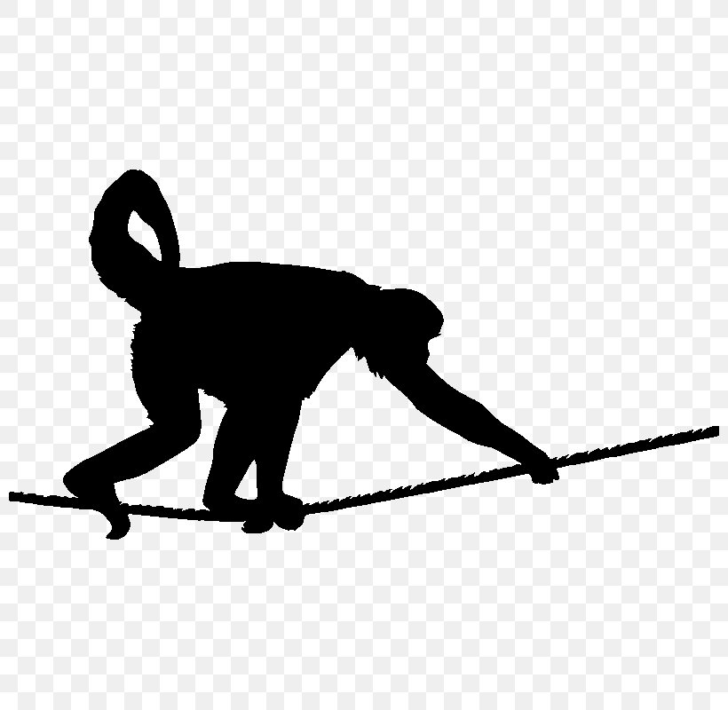White-bellied Spider Monkey Stock Photography, PNG, 800x800px, Stock Photography, Black, Black And White, Cat Like Mammal, Climbing Download Free