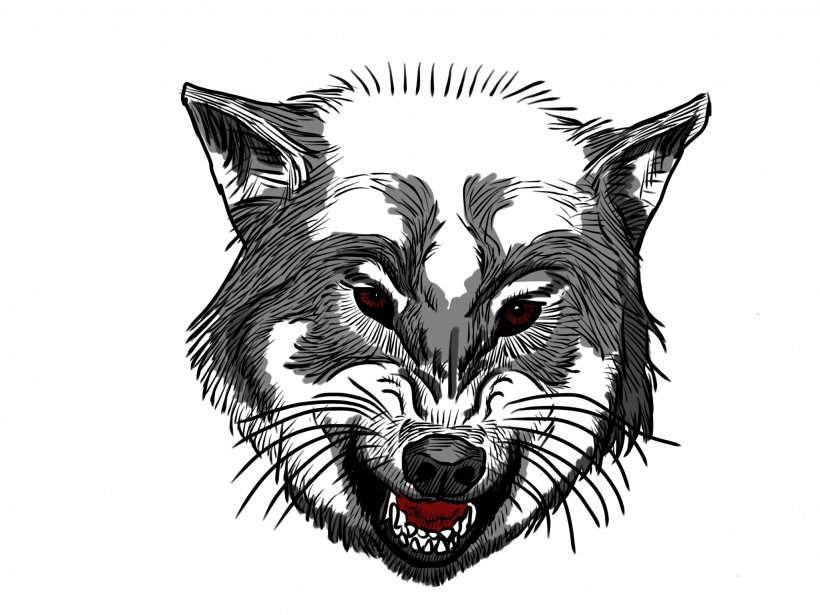 Angry Wolf Sketch Image  Photo Free Trial  Bigstock