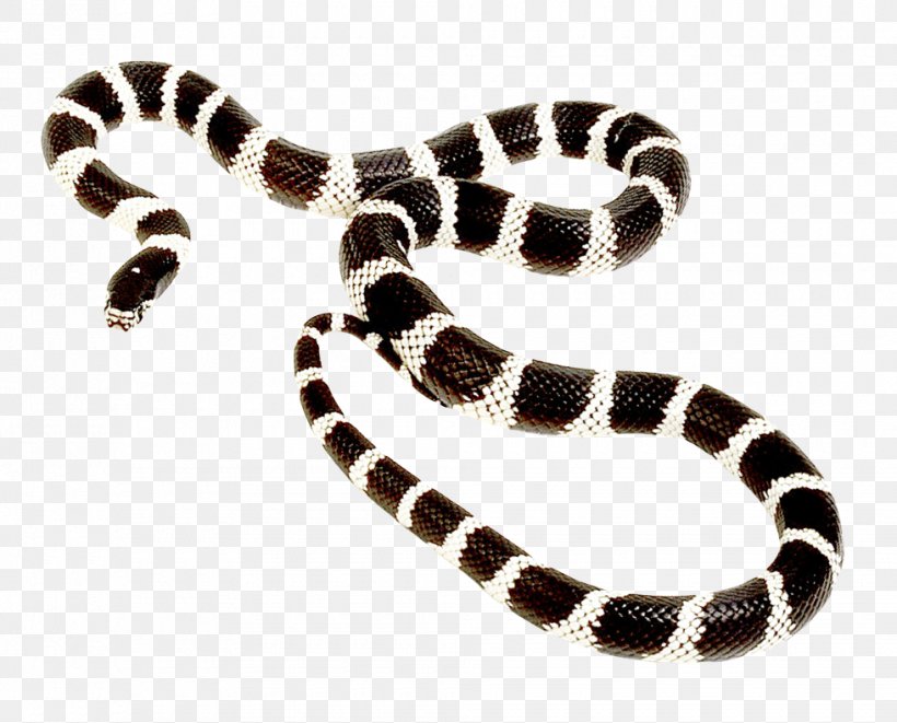 Milk Snake, PNG, 980x791px, Snake, Boa Constrictor, Constriction, Coral Snake, Jewelry Making Download Free
