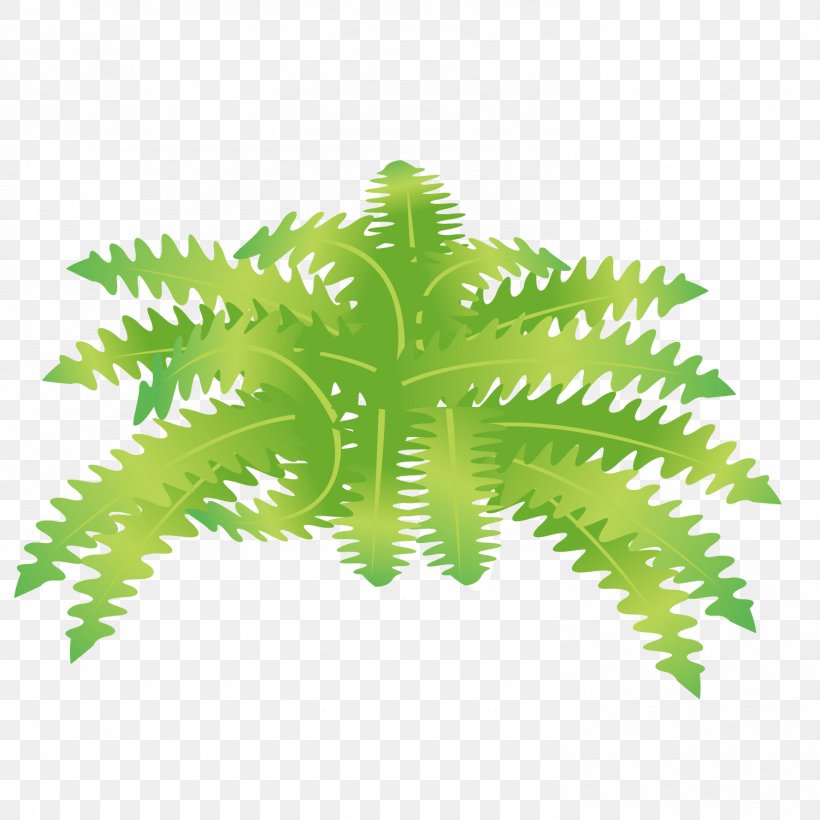 Vector Green Lush Zigzag Leaves, PNG, 1501x1501px, Zigzag, Grass, Grass Gis, Green, Herbaceous Plant Download Free