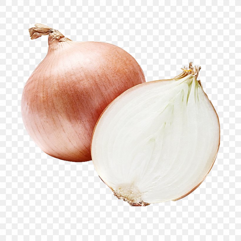 Yellow Onion Onion Shallot Vegetable Food, PNG, 1500x1500px, Yellow Onion, Allium, Food, Garlic, Onion Download Free
