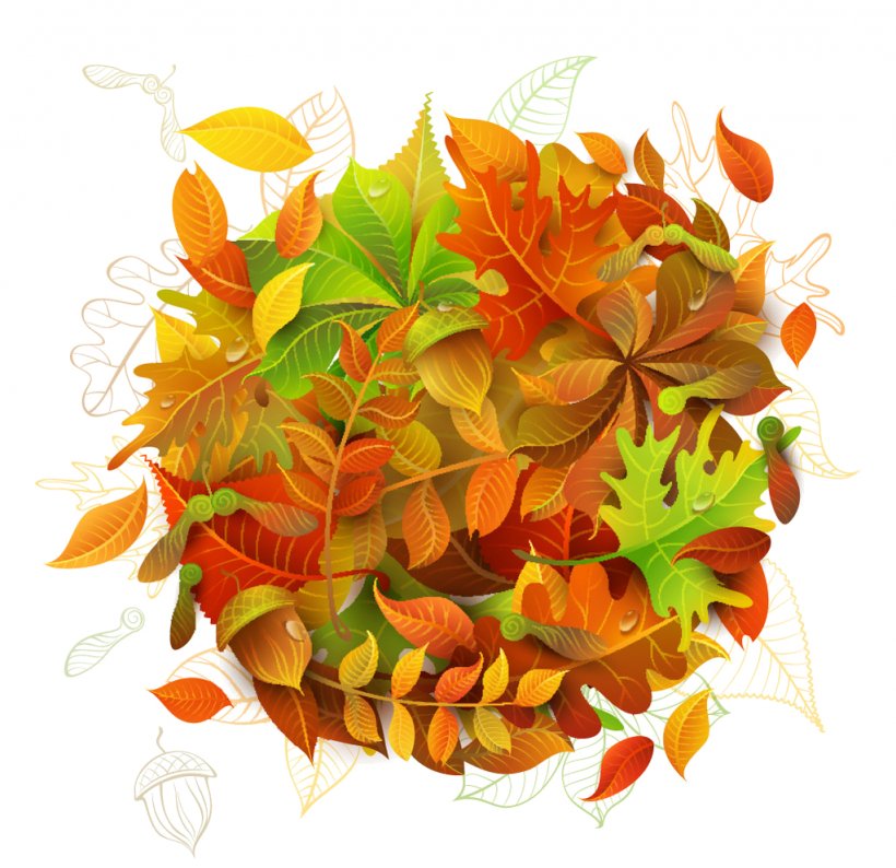 Autumn Leaves Leaf Maple, PNG, 1024x992px, Autumn Leaves, Autumn, Leaf, Maple, Maple Leaf Download Free