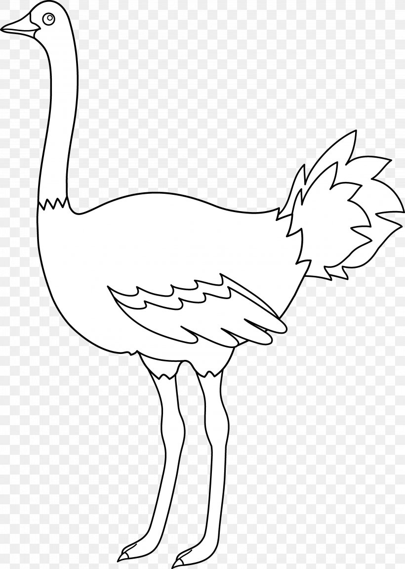 Common Ostrich Bird Emu Clip Art, PNG, 4377x6144px, Common Ostrich, Arm, Artwork, Beak, Bird Download Free