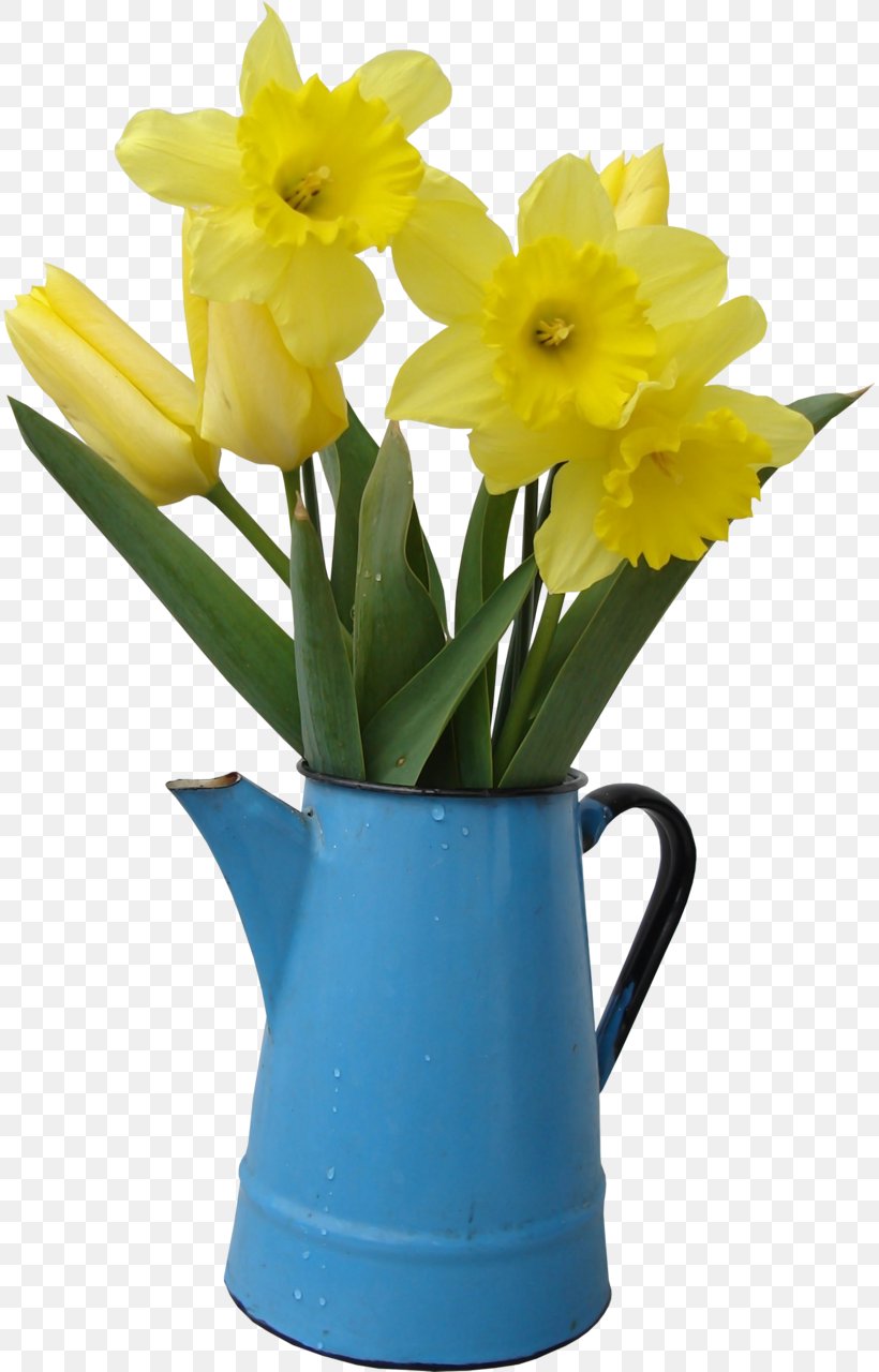 Flower Tulip Watering Cans Vase Daffodil, PNG, 814x1280px, Flower, Amaryllis Family, Cut Flowers, Daffodil, Floral Design Download Free