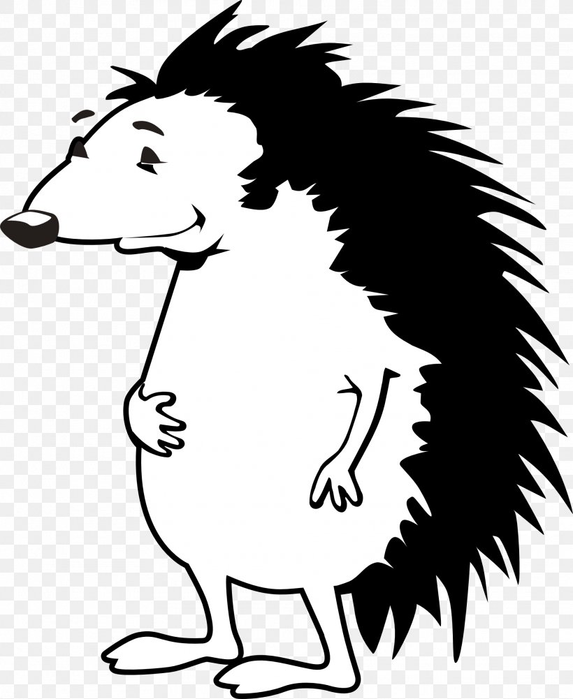 Hedgehog Free Content Download Clip Art, PNG, 1969x2406px, Hedgehog, Art, Artwork, Beak, Black And White Download Free