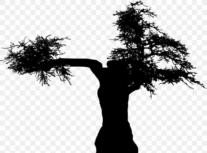 Tree Branch Silhouette, PNG, 2837x2109px, Branch, Arm, Blackandwhite, Megabyte, Plant Download Free