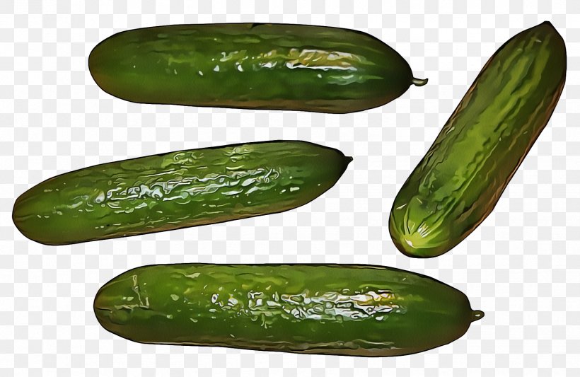 Vegetable Cucumber, Gourd, And Melon Family Cucumber Scarlet Gourd Cucumis, PNG, 1748x1138px, Vegetable, Cucumber, Cucumber Gourd And Melon Family, Cucumis, Food Download Free
