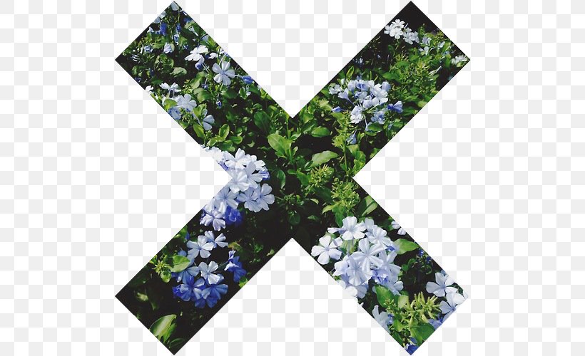 Desktop Wallpaper, PNG, 500x500px, Editing, Blue, Flora, Flower, Grass Download Free