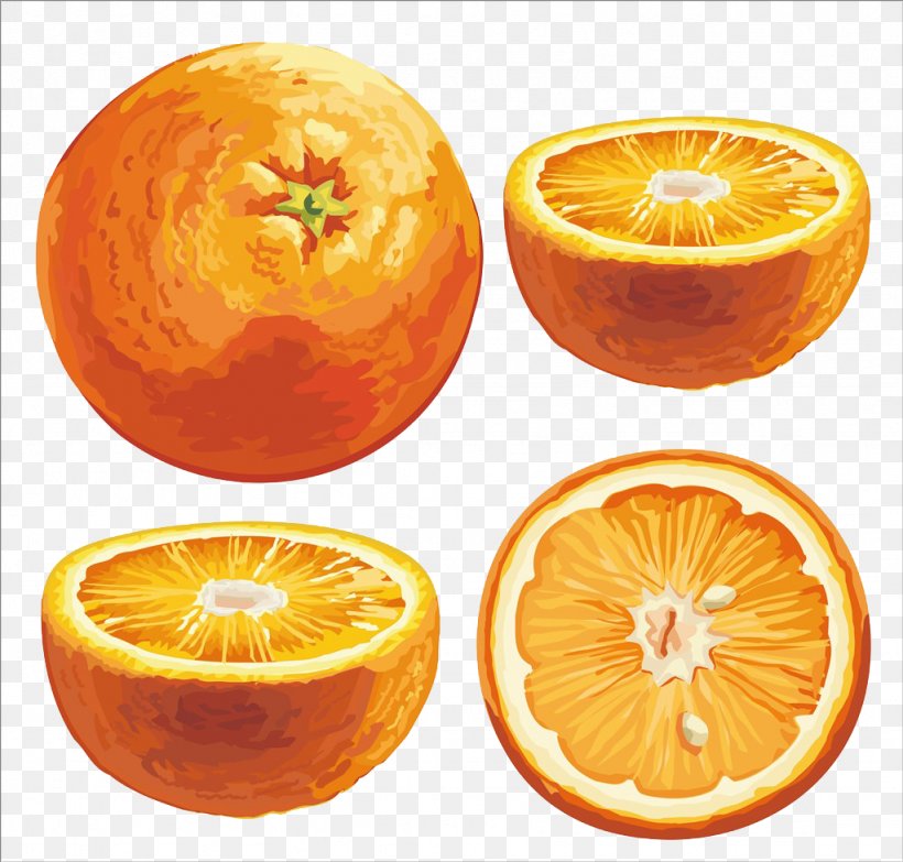 Orange Citrus Xd7 Sinensis Android Clip Art, PNG, 1024x979px, Orange, Android, Auglis, Bitter Orange, Citrus Download Free