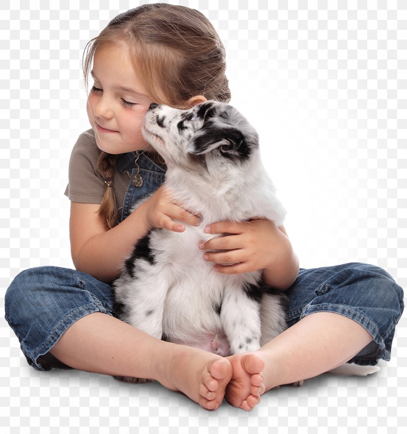Stock Photography Puppy Girl Dog Cuteness, PNG, 1000x1068px, Stock Photography, Australian Shepherd, Canidae, Carnivore, Child Download Free