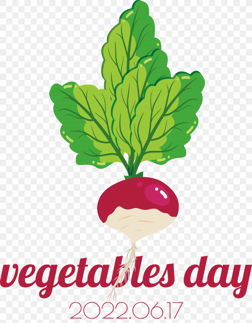 Turnip Leaf Vegetable Vegetable Turnip Vegetable Vitamin Salad, PNG, 4856x6226px, Turnip, Beet Greens, Beetroot, Leaf Vegetable, Radish Download Free