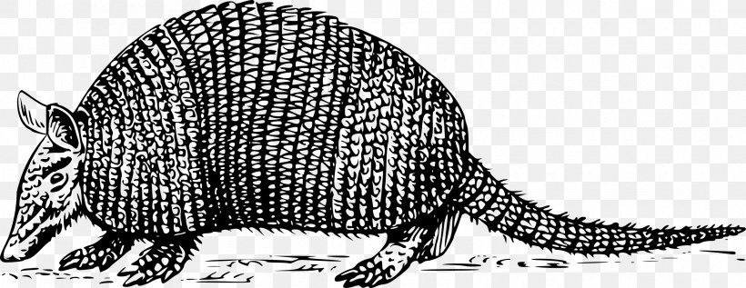 Armadillo Clip Art, PNG, 2400x929px, Armadillo, Animal Figure, Armour, Black And White, Carnivoran Download Free