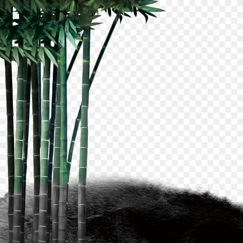 Bamboo Reversal Film Bambusa Oldhamii, PNG, 1000x1000px, Bamboo, Arecales, Bambusa Oldhamii, Black And White, Branch Download Free
