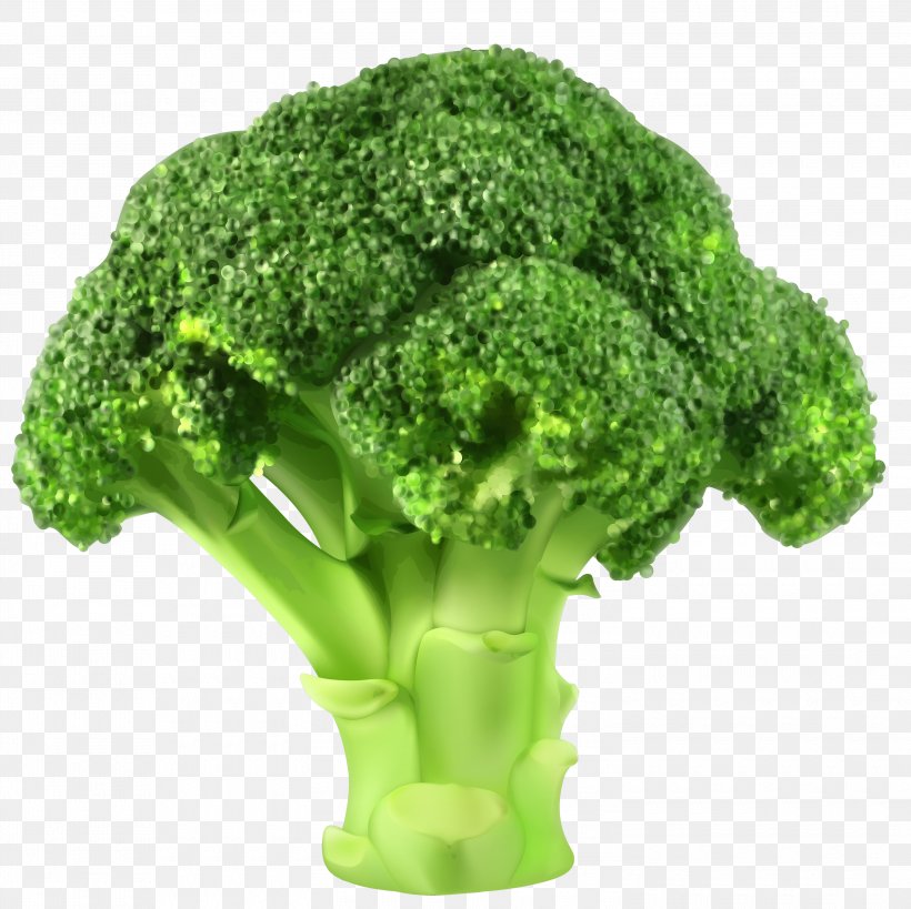 Broccoli Cauliflower Vegetable Clip Art, PNG, 3000x2998px, Broccoli, Brassica Oleracea, Can Stock Photo, Cauliflower, Flowerpot Download Free