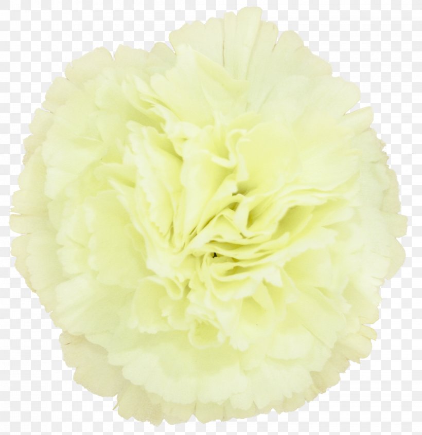 Cut Flowers, PNG, 2268x2340px, Cut Flowers, Flower, Yellow Download Free