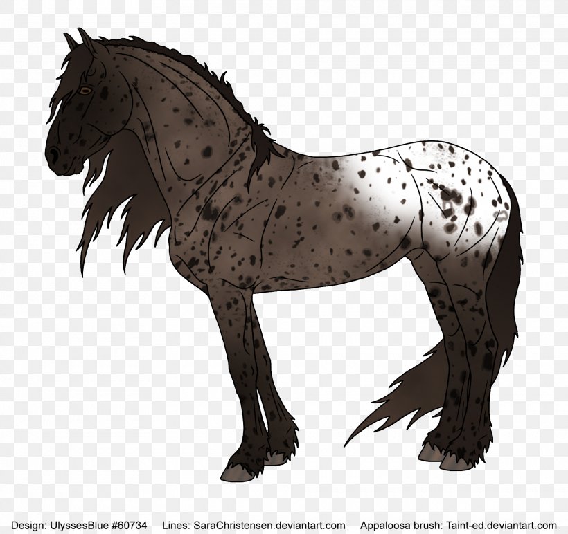 Friesian Horse Mustang Mane Stallion Pony, PNG, 1920x1808px, Friesian Horse, American Paint Horse, Appaloosa, Art, Black Download Free