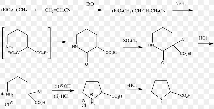 Proline Glutamic Acid Biosynthesis Chemical Synthesis Amine, PNG, 2266x1153px, Proline, Alanine, Amine, Amino Acid, Area Download Free
